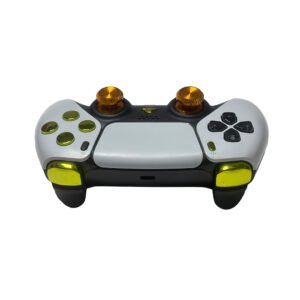 Playstation 5 custom controller