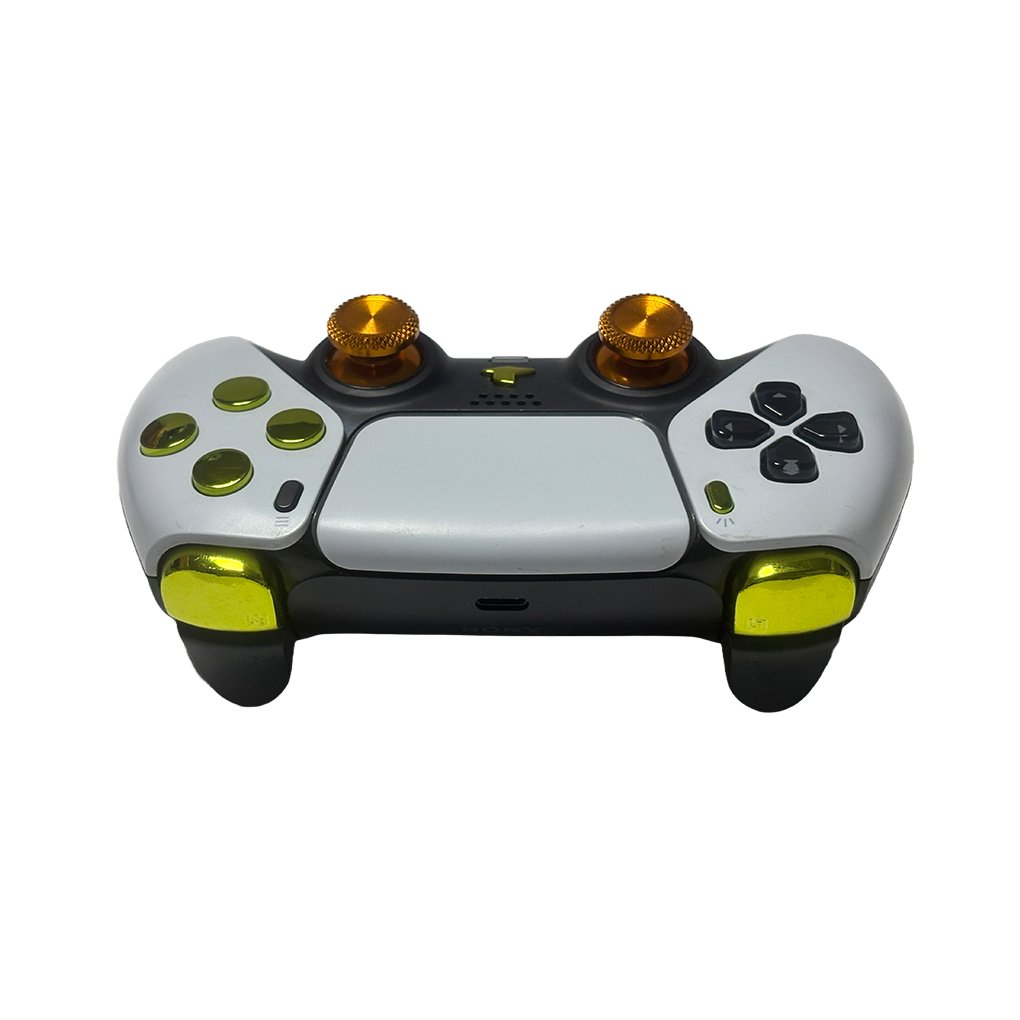 Playstation 5 custom controller