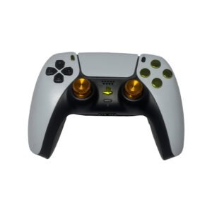 Playstation 5 custom controller