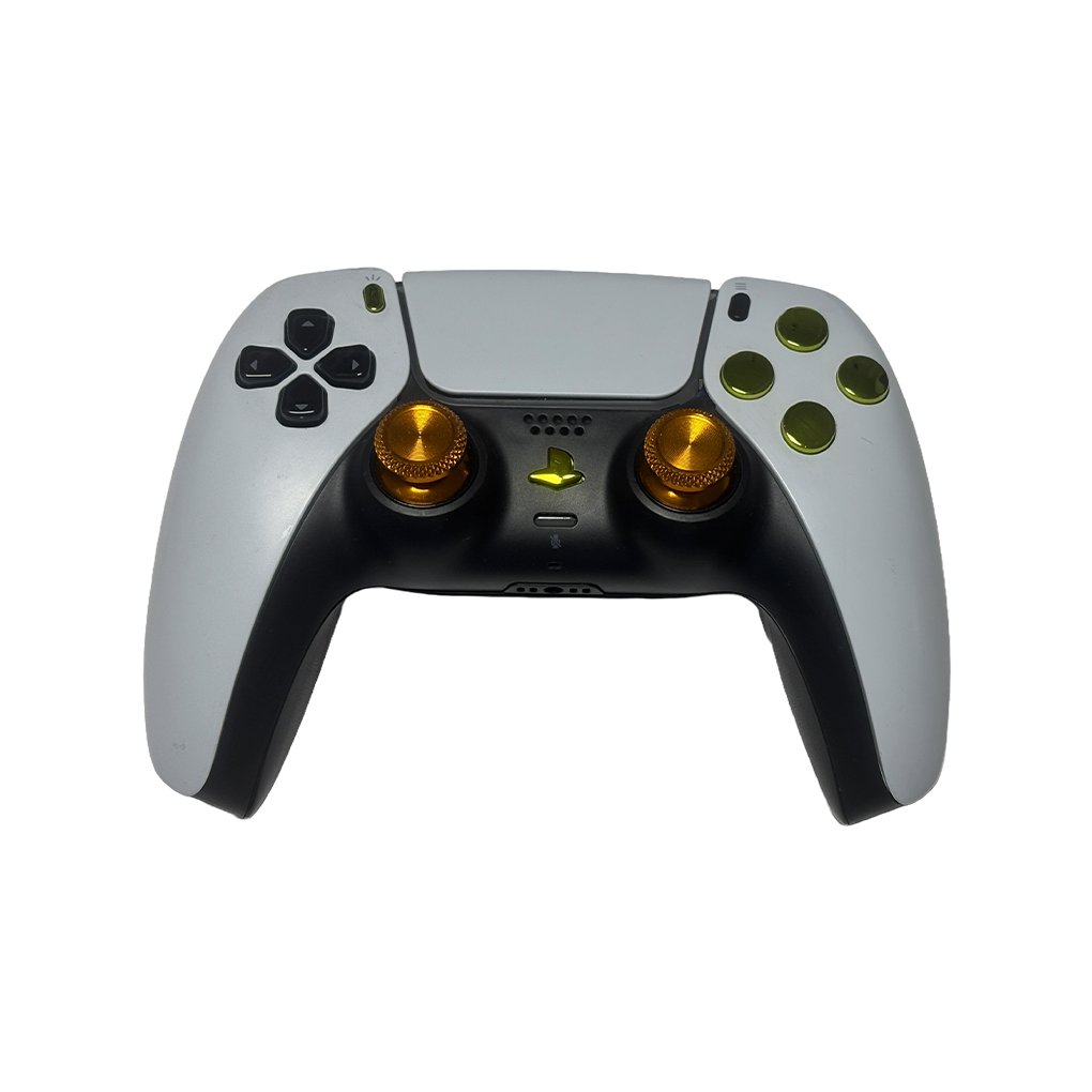 Playstation 5 custom controller